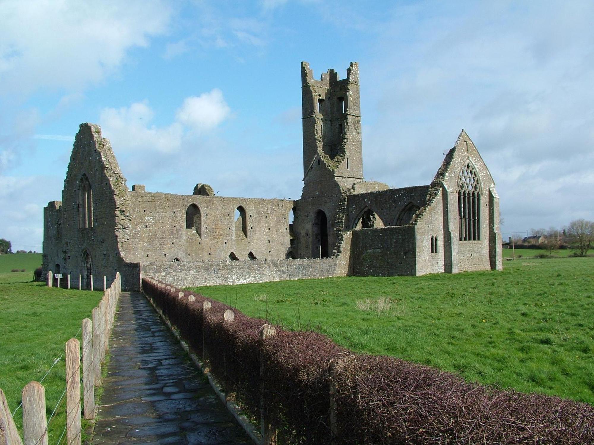 Deebert House Hotel Kilmallock المظهر الخارجي الصورة